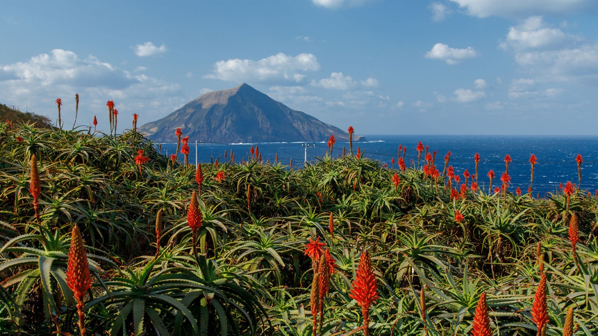 八丈島ってどんなところ？ - 八丈島移住・定住ナビ